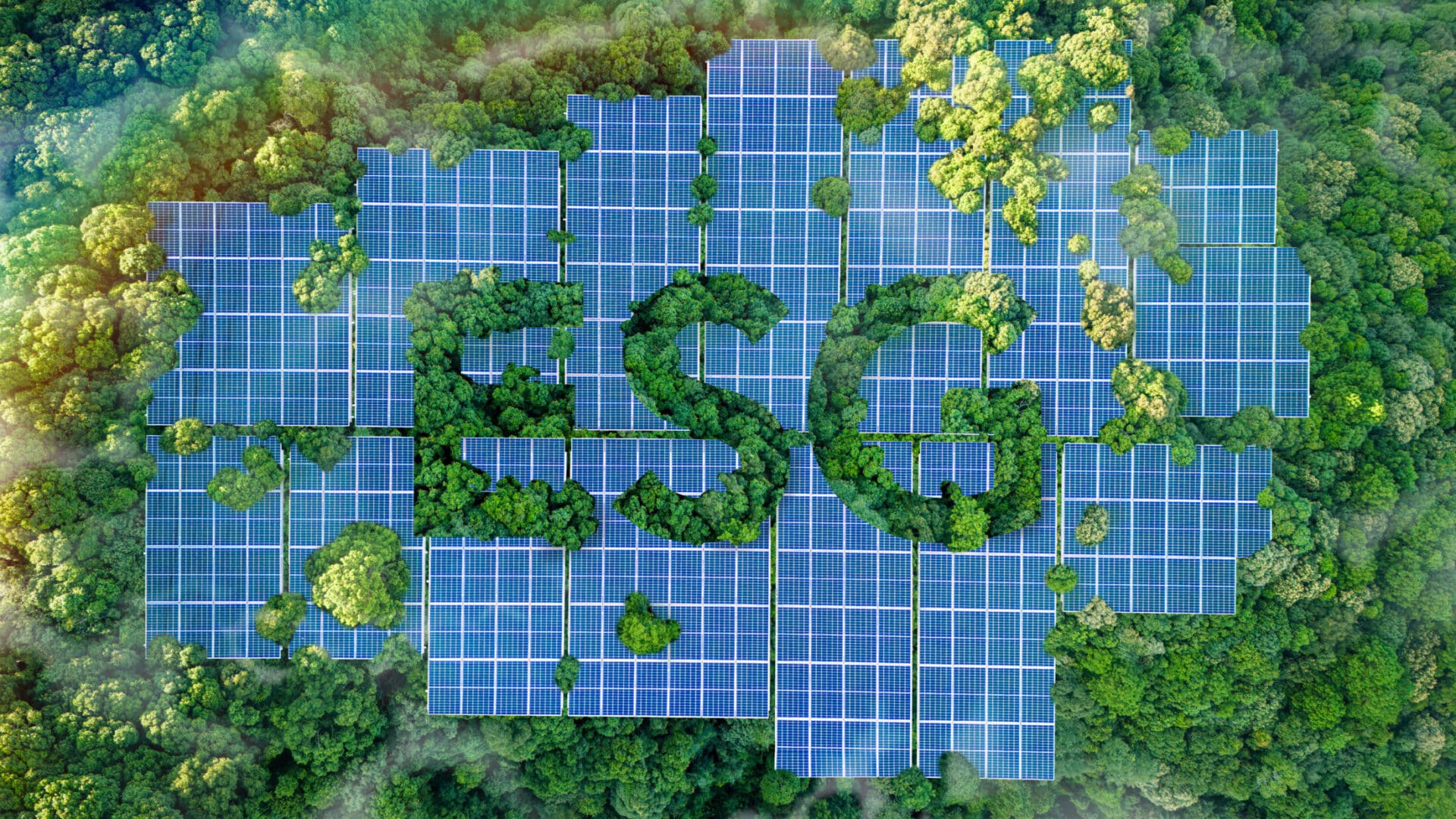 ESG Governance